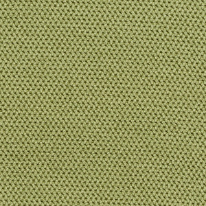 1602 Palm by Charlotte Fabric