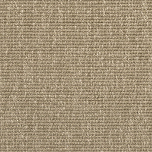 Perf Biloxi D Flannel 927 by P Kaufmann Fabrics Fabric