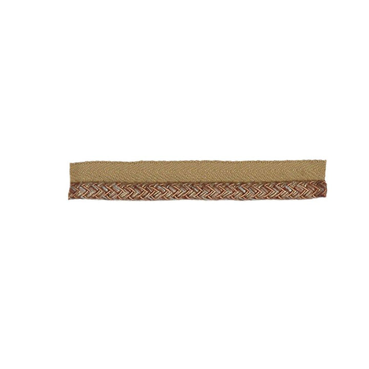 T1118 BRAIDED LIPCO SPOT ROBINS EGG BRAID LIP by RM CoCo Fabric