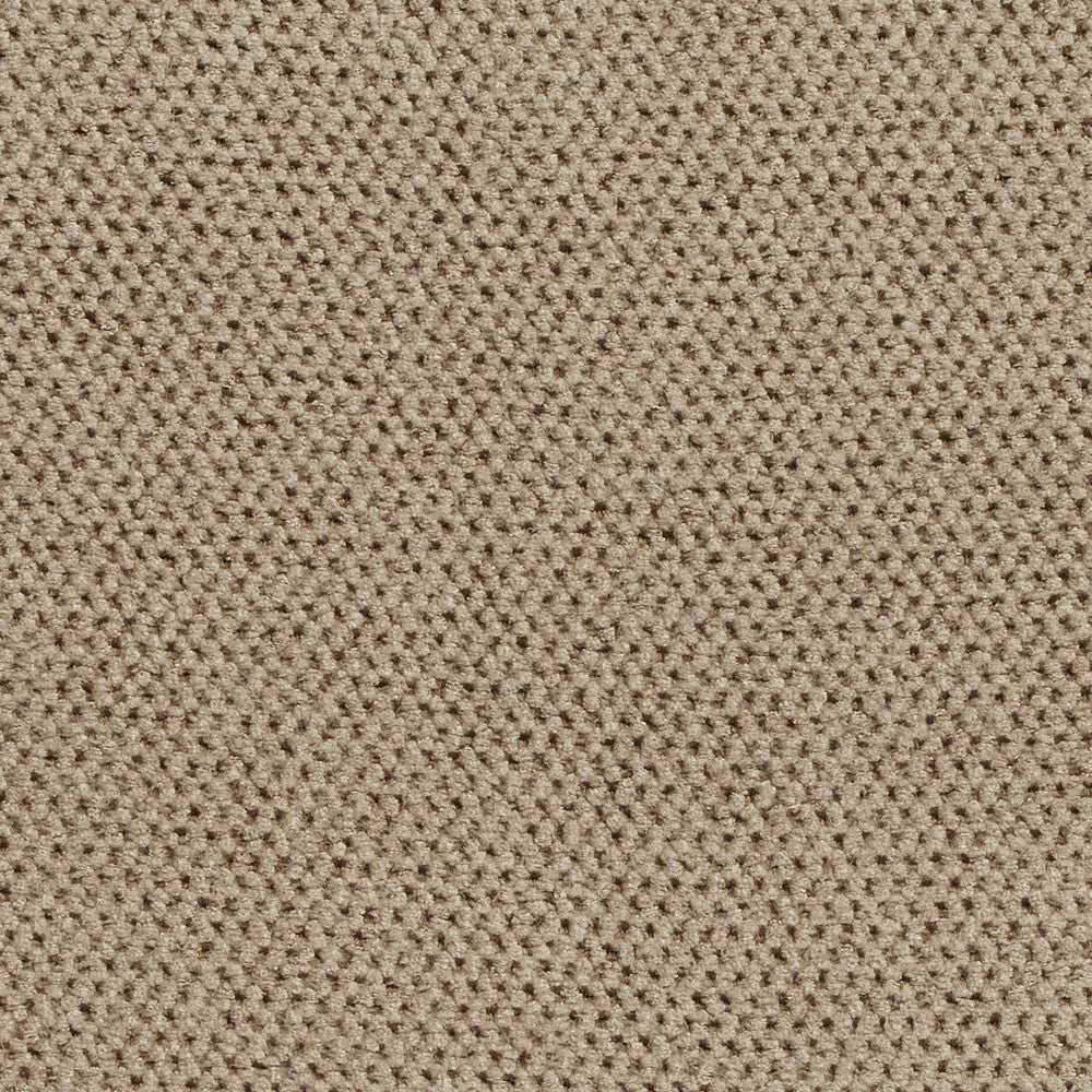 1605 Buff by Charlotte Fabric Textures 100% Woven Polyester Asia Exceeds 200,000 Wyzenbeek Rubs (Heavy Duty) No Repeat 54 Inches - Fabric Carolina -