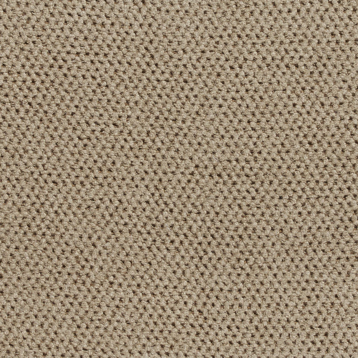 1605 Buff by Charlotte Fabric Textures 100% Woven Polyester Asia Exceeds 200,000 Wyzenbeek Rubs (Heavy Duty) No Repeat 54 Inches - Fabric Carolina -