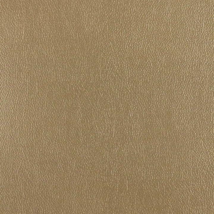 Granular Gold Rush by RM CoCo Fabric Vinyl Varieties 55% PVC 40% Polyester 5% PU See Sample 50000 Horizontal: 0 and Vertical: 0 54 - Fabric Carolina -