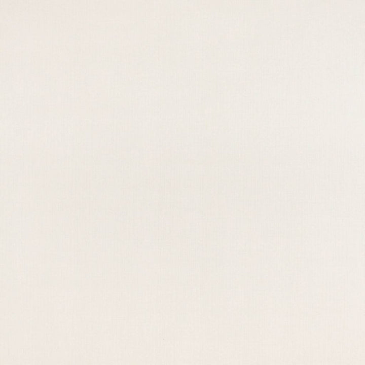 Elan Snow by RM CoCo Fabric Vinyl Varieties 55% PVC 40% Polyester 5% PU See Sample 50000 Horizontal: 0 and Vertical: 0 54 - Fabric Carolina -