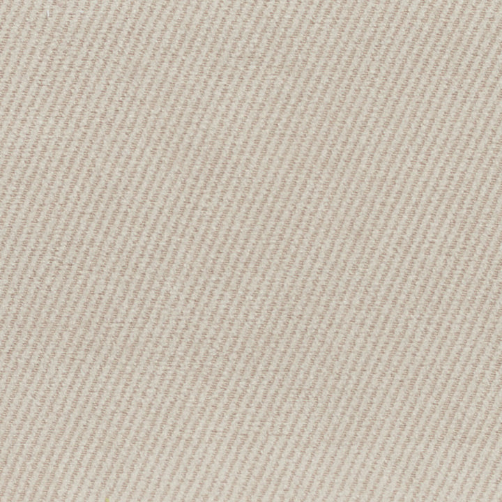 1615 Natural by Charlotte Fabric Textures 100% Woven Polyester Asia Exceeds 200,000 Wyzenbeek Rubs (Heavy Duty) No Repeat 54 Inches - Fabric Carolina -