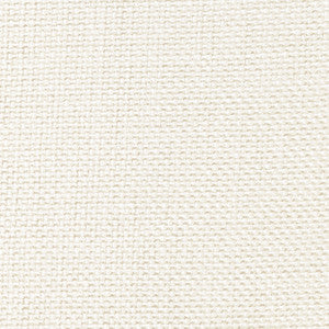 Perf Groupie Oyster 3 by P Kaufmann Fabrics Fabric