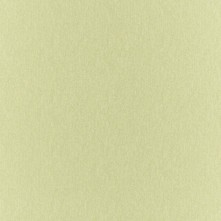 Clubhouse Pistachio by RM CoCo Fabric Clubhouse 100% Polyester See Sample 200000 Horizontal: 0 and Vertical: 0 58 - Fabric Carolina -