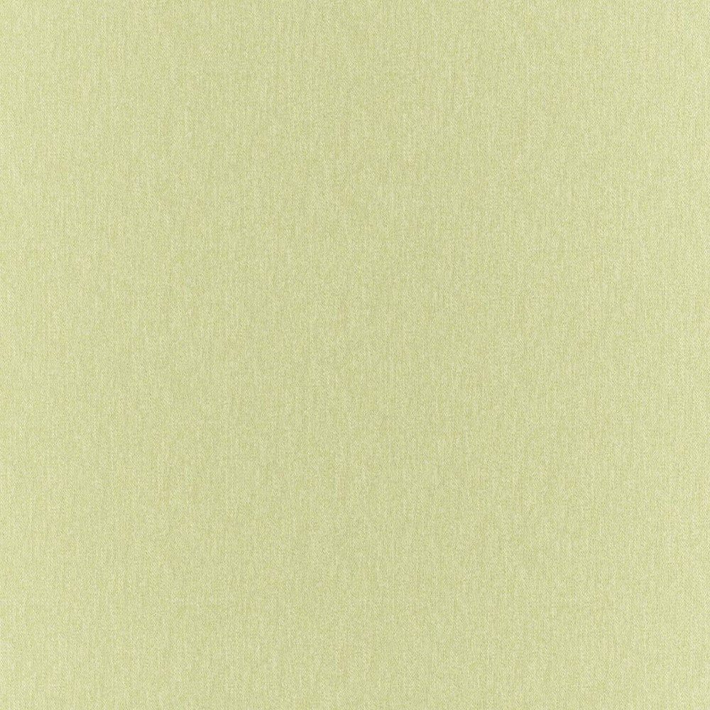 Clubhouse Pistachio by RM CoCo Fabric Clubhouse 100% Polyester See Sample 200000 Horizontal: 00 58  - Fabric Carolina -