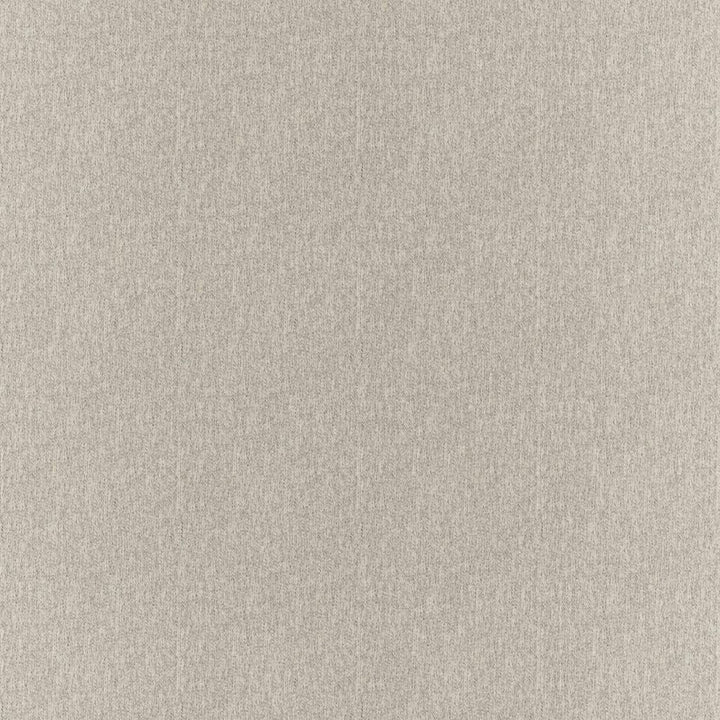 Clubhouse Pelican by RM CoCo Fabric Clubhouse 100% Polyester See Sample 200000 Horizontal: 00 58  - Fabric Carolina -