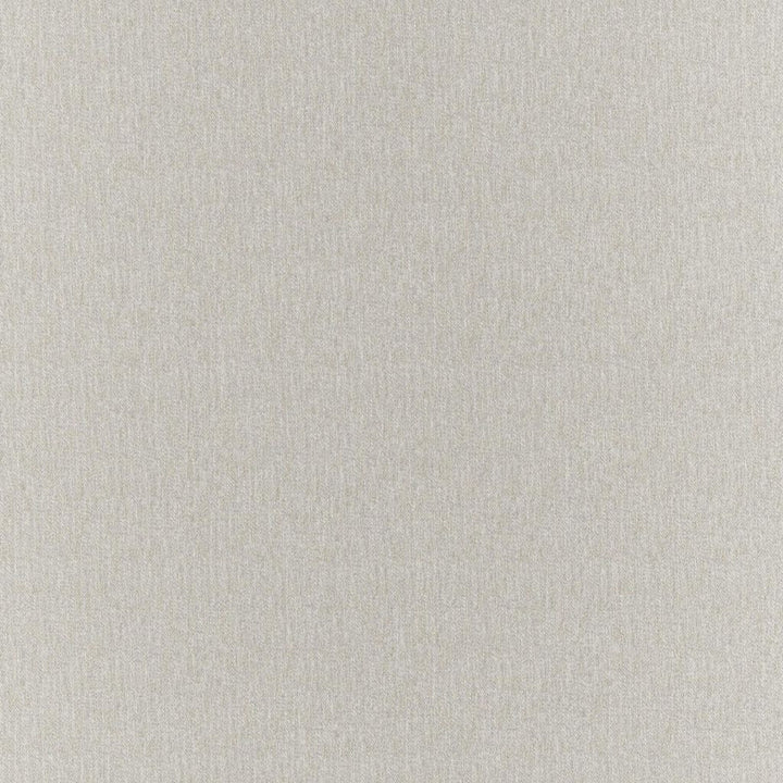 Clubhouse Oyster by RM CoCo Fabric Clubhouse 100% Polyester See Sample 200000 Horizontal: 00 58  - Fabric Carolina -