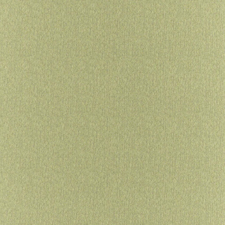 Clubhouse Apple by RM CoCo Fabric