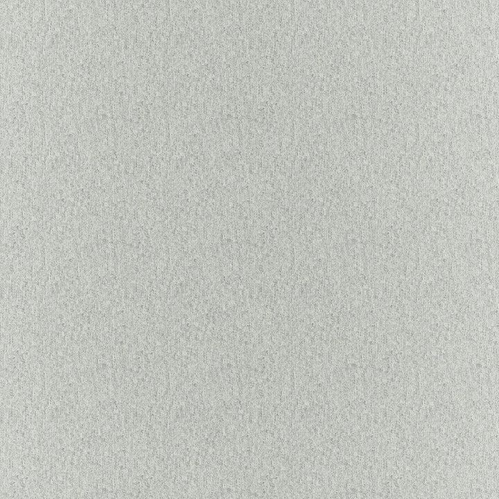 Clubhouse Aluminum by RM CoCo Fabric