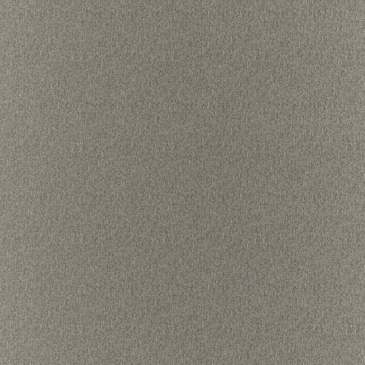 Clubhouse Charcoal by RM CoCo Fabric