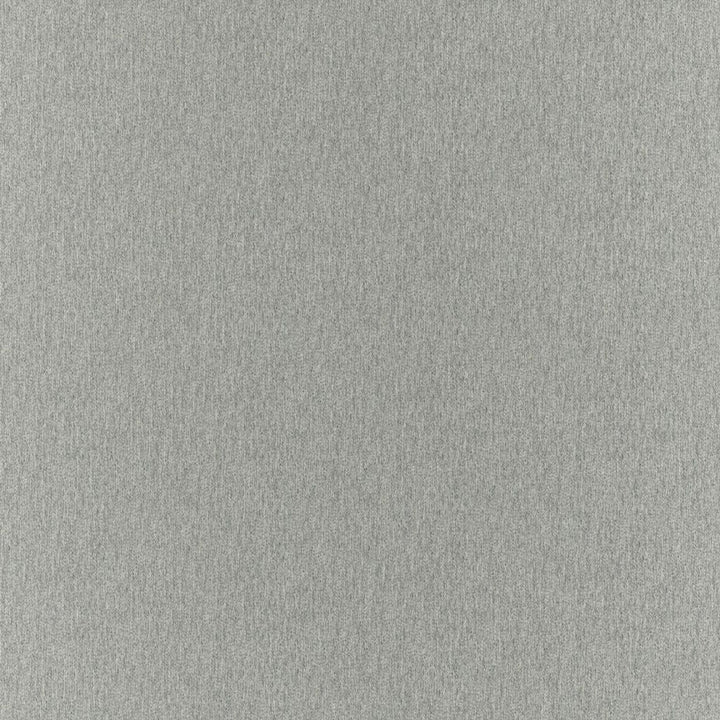Clubhouse Dove by RM CoCo Fabric Clubhouse 100% Polyester See Sample 200000 Horizontal: 0 and Vertical: 0 58 - Fabric Carolina -