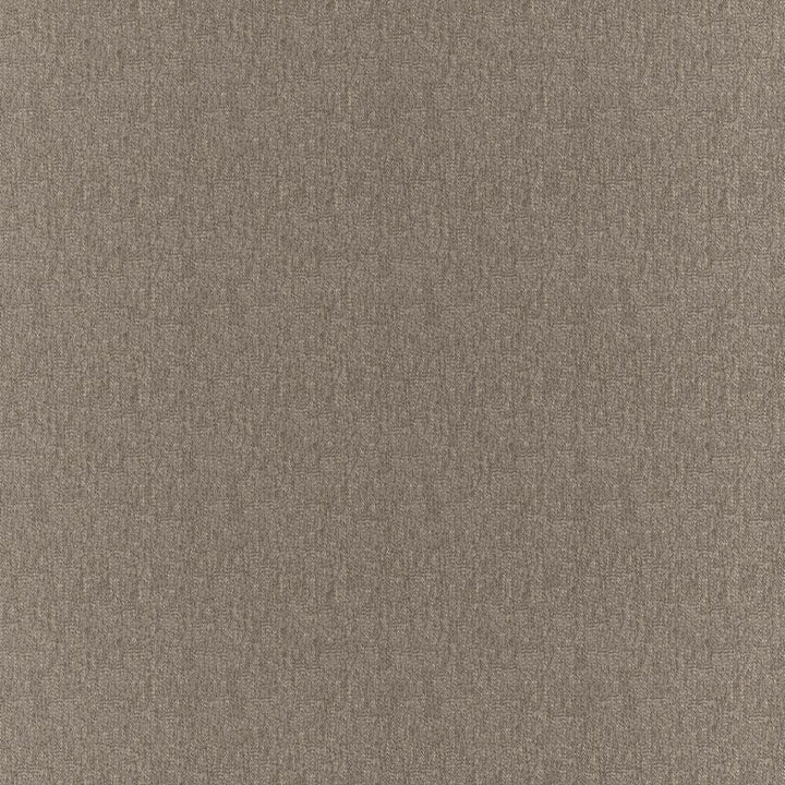Clubhouse Fossil by RM CoCo Fabric Clubhouse 100% Polyester See Sample 200000 Horizontal: 0 and Vertical: 0 58 - Fabric Carolina -