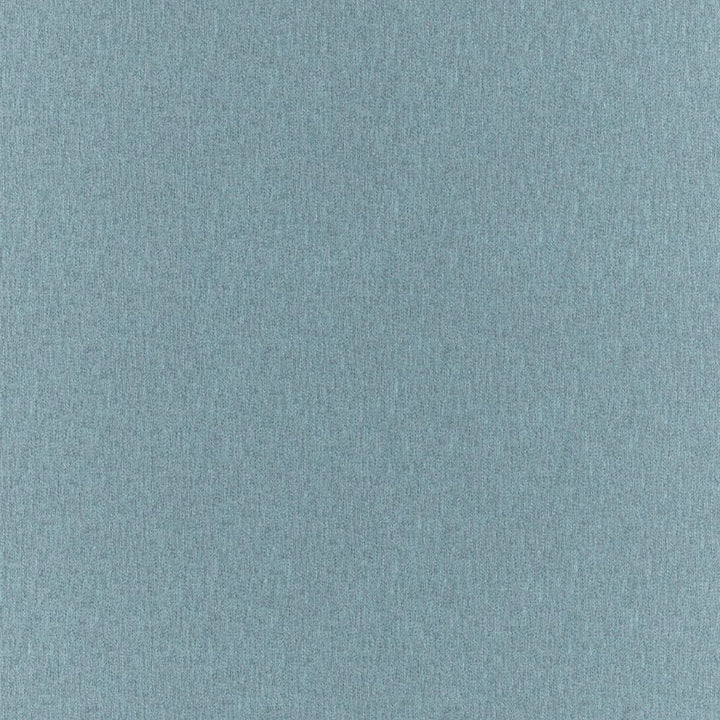 Clubhouse Mineral by RM CoCo Fabric Clubhouse 100% Polyester See Sample 200000 Horizontal: 0 and Vertical: 0 58 - Fabric Carolina -