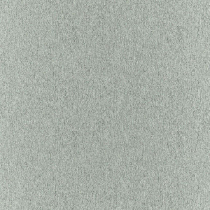 Clubhouse Jasper by RM CoCo Fabric Clubhouse 100% Polyester See Sample 200000 Horizontal: 0 and Vertical: 0 58 - Fabric Carolina -