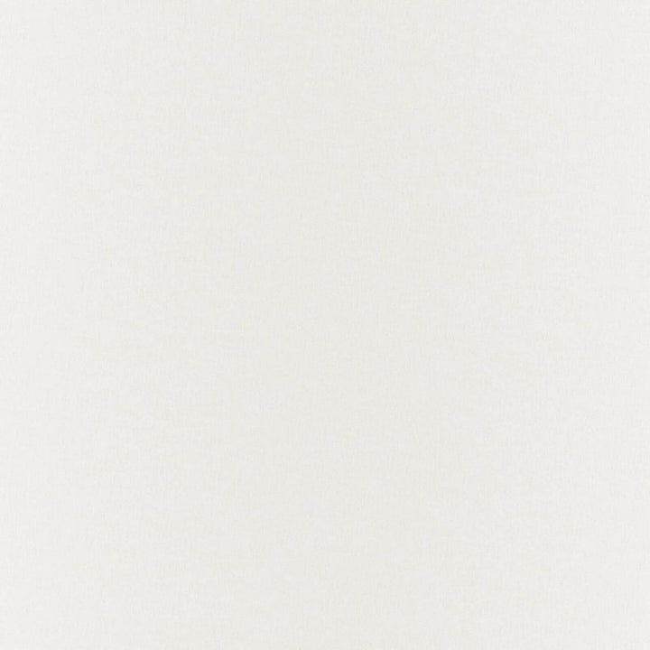 Gossamer Winter White by RM CoCo Fabric Gossamer 69% Polyester 31% Linen See Sample 0 Horizontal: 0 and Vertical: 0 118 - Fabric Carolina -