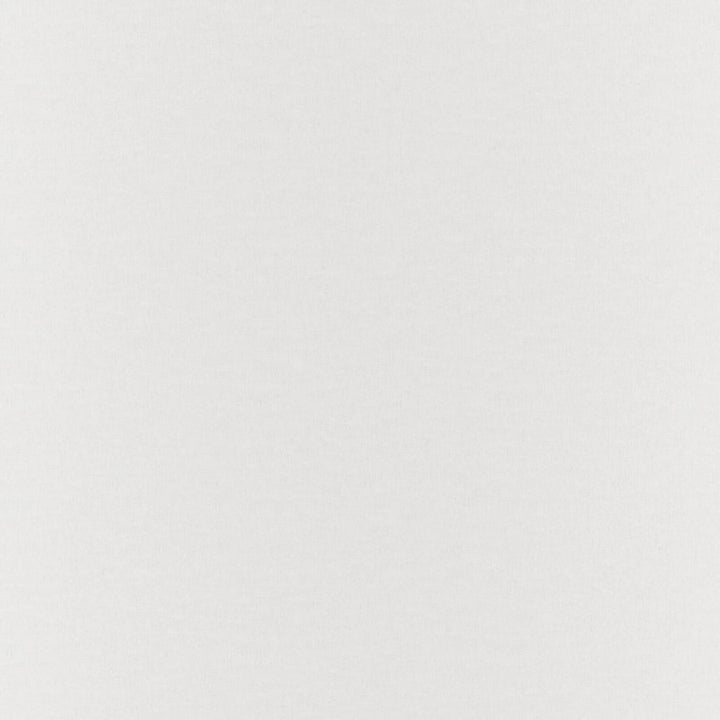 Gossamer Sand by RM CoCo Fabric Gossamer 69% Polyester 31% Linen See Sample 0 Horizontal: 0 and Vertical: 0 118 - Fabric Carolina -