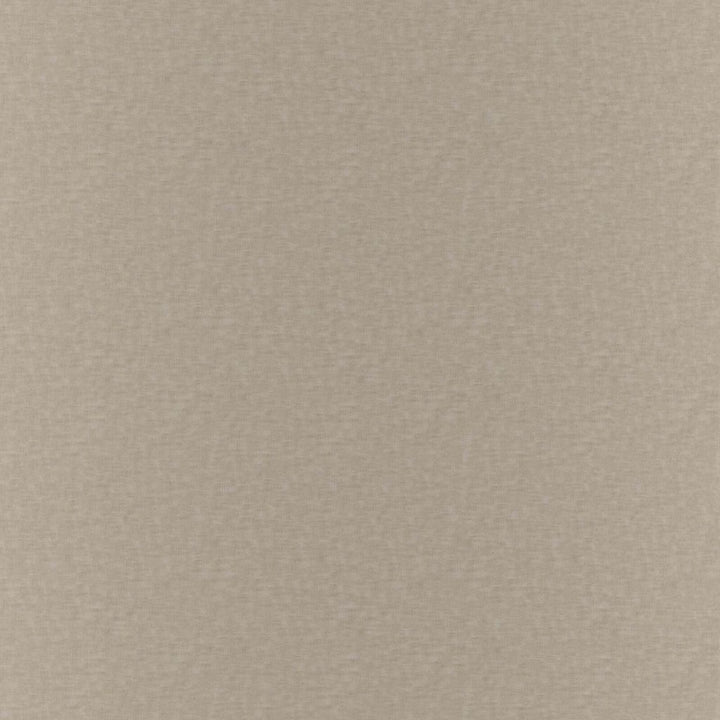 Gossamer Fossil by RM CoCo Fabric Gossamer 69% Polyester 31% Linen See Sample 0 Horizontal: 0 and Vertical: 0 118 - Fabric Carolina -