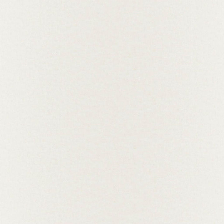 Gossamer Ecru by RM CoCo Fabric Gossamer 69% Polyester 31% Linen See Sample 0 Horizontal: 0 and Vertical: 0 118 - Fabric Carolina -