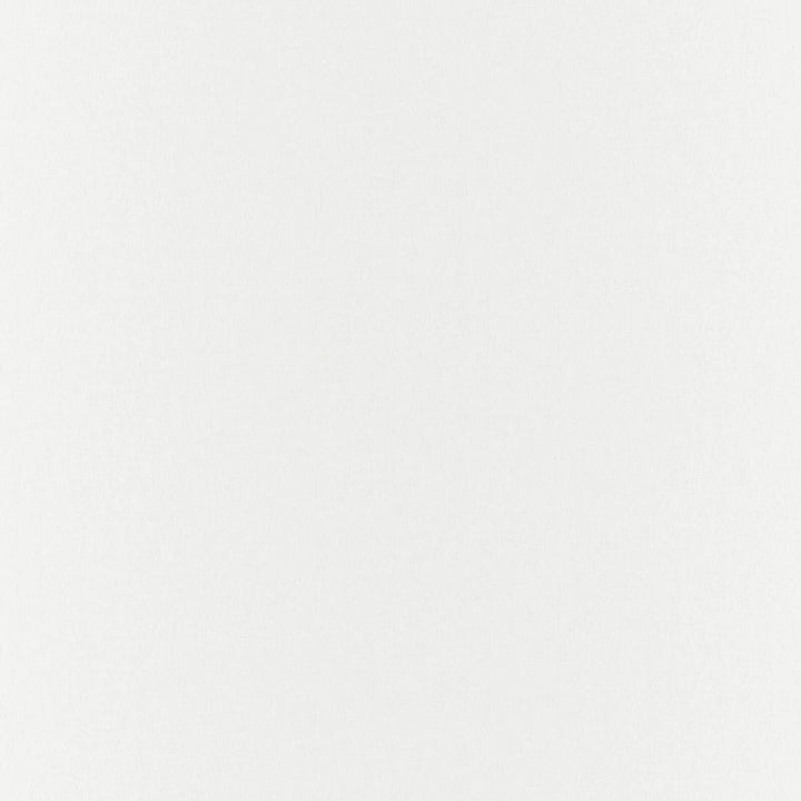 Gossamer Cream by RM CoCo Fabric Gossamer 69% Polyester 31% Linen See Sample 0 Horizontal: 0 and Vertical: 0 118 - Fabric Carolina -