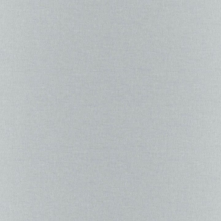 Gossamer Ash by RM CoCo Fabric Gossamer 69% Polyester 31% Linen See Sample 0 Horizontal: 0 and Vertical: 0 118 - Fabric Carolina -