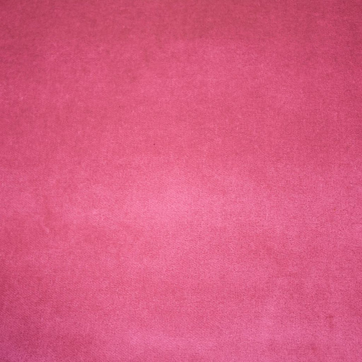 Deluxe Cotton Velvet Begonia by RM CoCo Fabric Deluxe II 100% Cotton Face 100% Polyester Backing See Sample 100000 Horizontal: 0 and Vertical: 0 54 - Fabric Carolina -