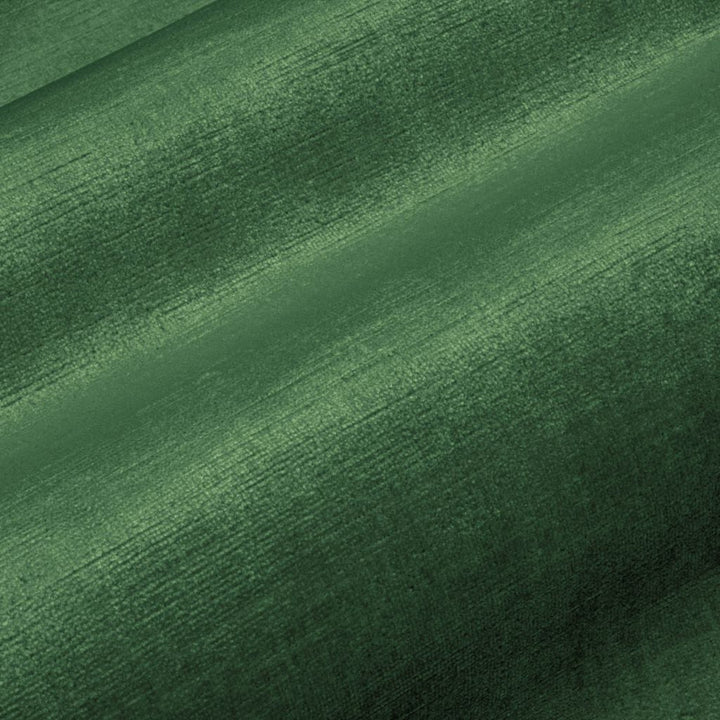 Pied a Terre Rayon Velvet Basil by RM CoCo Fabric Pied a Terre 100% Rayon Face with 67% Cotton 33% Polyester Backing See Sample 100000 Horizontal: 0 and Vertical: 0 54 - Fabric Carolina -