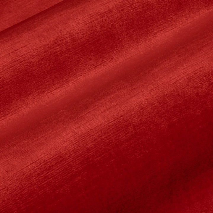 Pied a Terre Rayon Velvet Camelia by RM CoCo Fabric Pied a Terre 100% Rayon Face with 67% Cotton 33% Polyester Backing See Sample 100000 Horizontal: 0 and Vertical: 0 54 - Fabric Carolina -