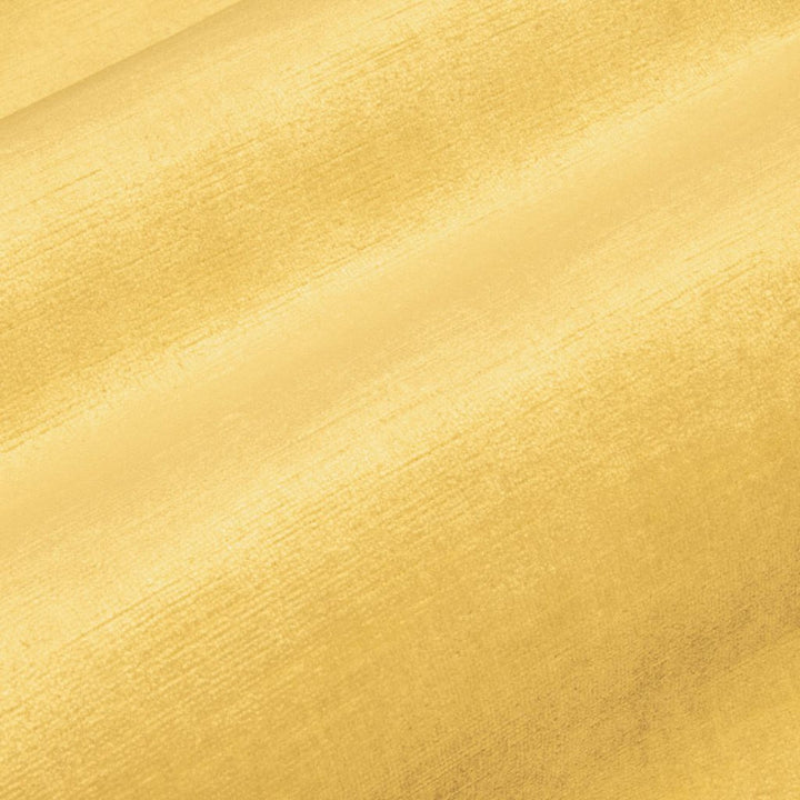 Pied a Terre Rayon Velvet Chardonnay by RM CoCo Fabric Pied a Terre 100% Rayon Face with 67% Cotton 33% Polyester Backing See Sample 100000 Horizontal: 0 and Vertical: 0 54 - Fabric Carolina -
