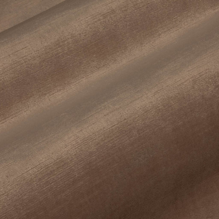 Pied a Terre Rayon Velvet Driftwood by RM CoCo Fabric