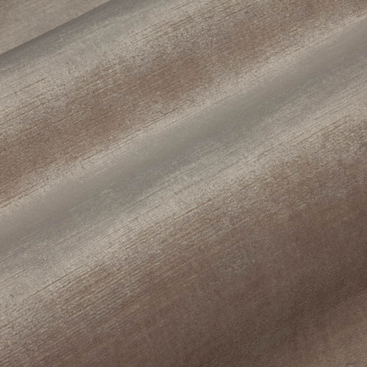 Pied a Terre Rayon Velvet Pewter by RM CoCo Fabric