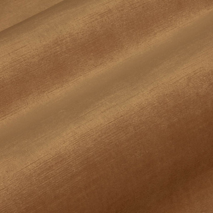 Pied a Terre Rayon Velvet Antique by RM CoCo Fabric