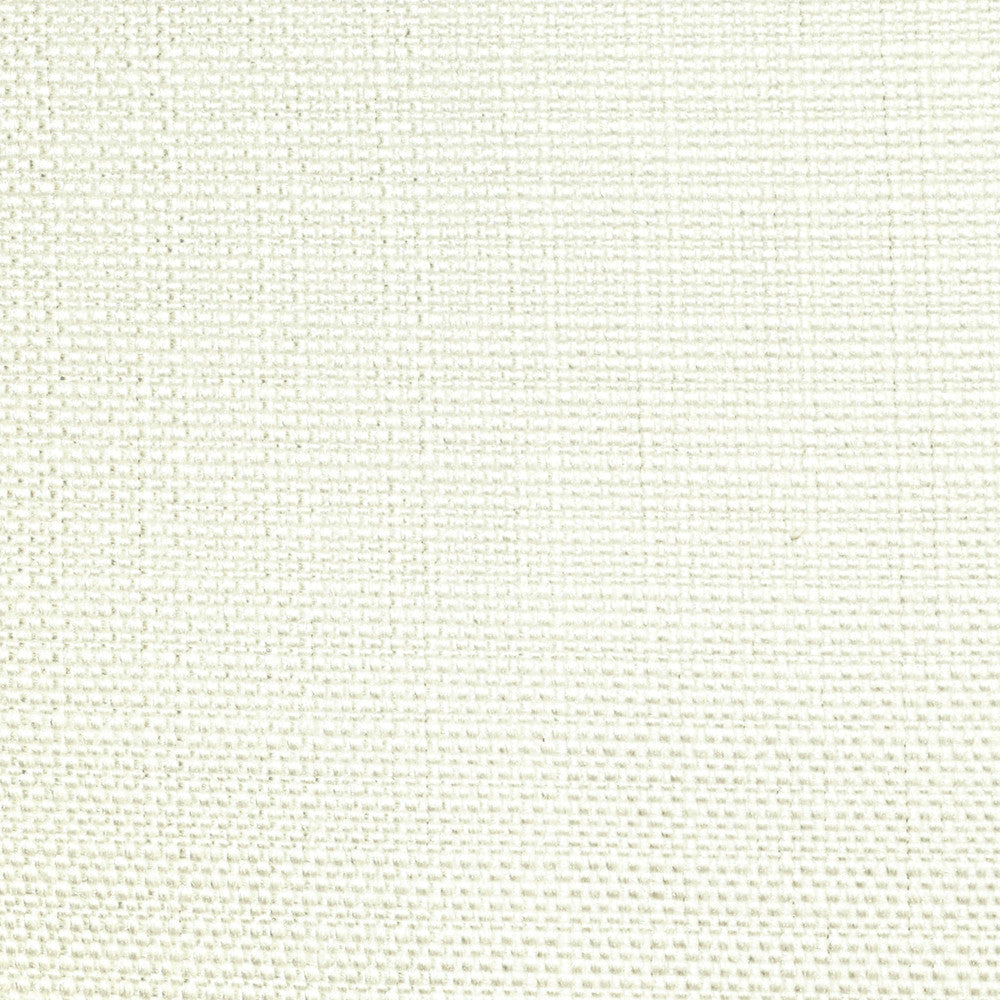 Perf Live Wire Winter White 28 by P Kaufmann Fabrics Fabric