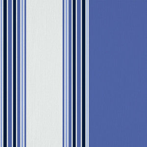 Ming Stripe Porcelain by RM CoCo Fabric