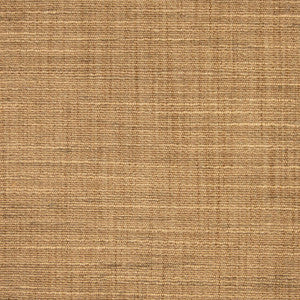 Ocean Breeze Sand Dollar by RM CoCo Fabric