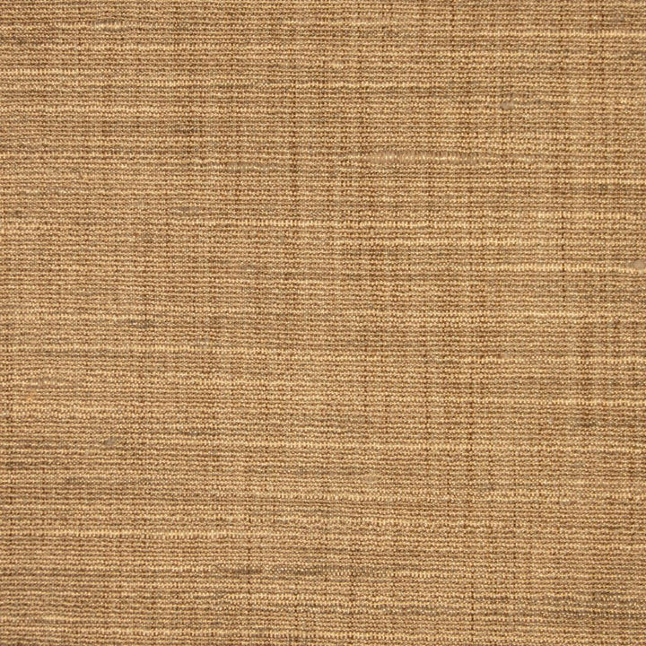 Ocean Breeze Sand Dollar by RM CoCo Fabric Summer Breeze 100% Polyester See Sample 0 Horizontal: 0 and Vertical: 0 54 - Fabric Carolina -