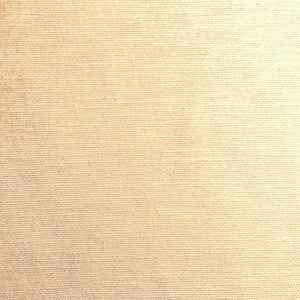 Hatteras Sandstone by RM CoCo Fabric