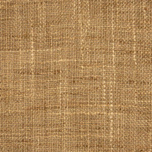 Sea Breeze Spanish Moss by RM CoCo Fabric