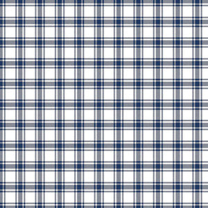 Geneviève Check Cornflower by RM CoCo Fabric