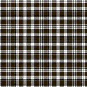 Geneviève Check Graphite by RM CoCo Fabric