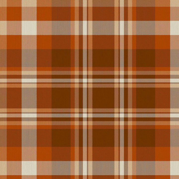 Ipswich Plaid Copper by RM CoCo Fabric ColorWorks Fall 2021 RM Studio See Sample 0 Horizontal: 9 and Vertical: 9 0 - Fabric Carolina -