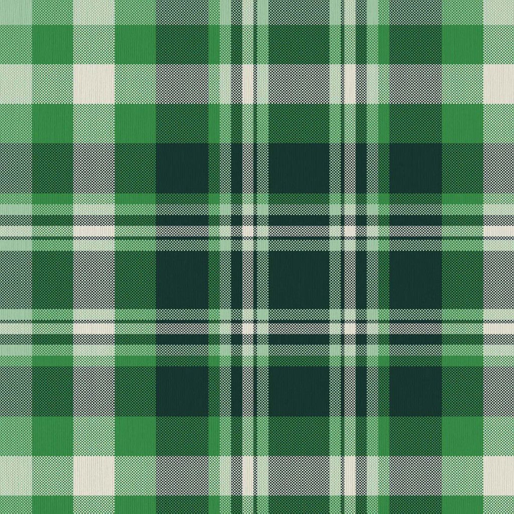 Ipswich Plaid Emerald by RM CoCo Fabric ColorWorks Fall 2021 RM Studio See Sample 0 Horizontal: 9 and Vertical: 9 0 - Fabric Carolina -