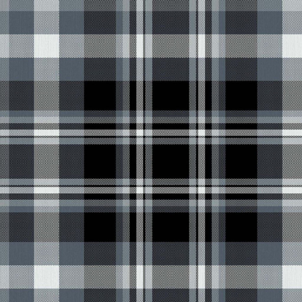 Ipswich Plaid Graphite by RM CoCo Fabric ColorWorks Fall 2021 RM Studio See Sample 0 Horizontal: 9 and Vertical: 9 0 - Fabric Carolina -