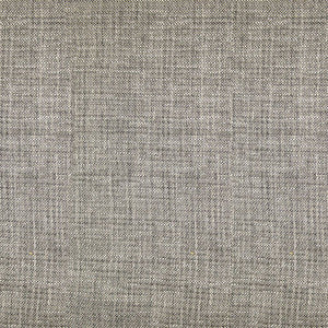 Single File Wide-Width Sheer Driftwood by RM CoCo Fabric