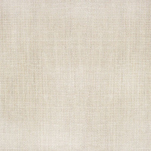 Single File Wide-Width Sheer Sandstone by RM CoCo Fabric