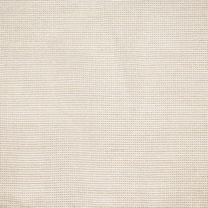 Moonbeam Wide-Width Sheer Frost by RM CoCo Fabric