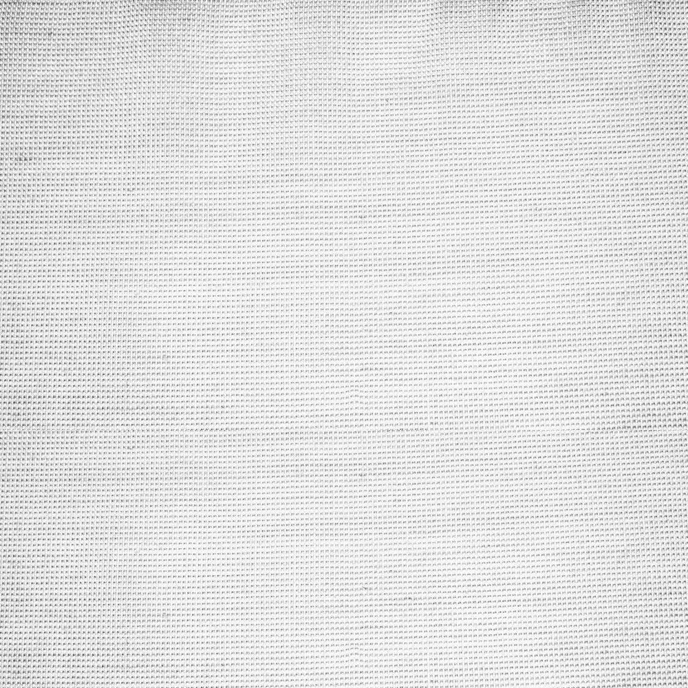 Moonbeam Wide-Width Sheer Winter White by RM CoCo Fabric