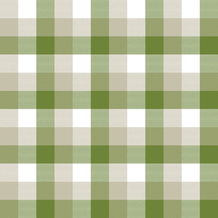 Alsace Check Snow Pea by RM CoCo Fabric ColorWorks Spring 2022 RM Studio See Sample 0 Horizontal: 6.75 and Vertical: 6.75 0 - Fabric Carolina -