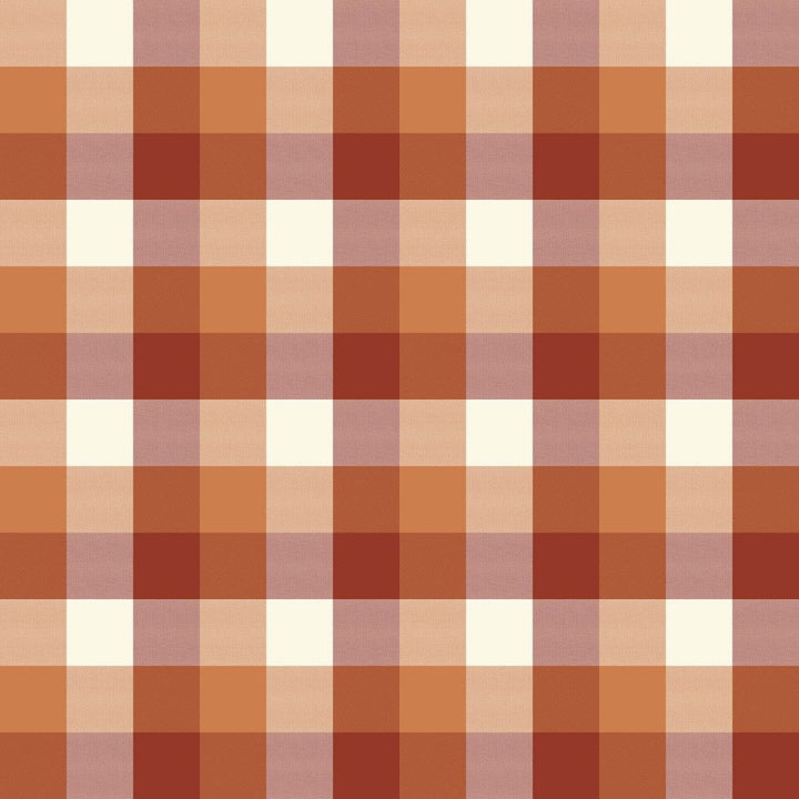 Alsace Check Spice Road by RM CoCo Fabric ColorWorks Spring 2022 RM Studio See Sample 0 Horizontal: 6.75 and Vertical: 6.75 0 - Fabric Carolina -